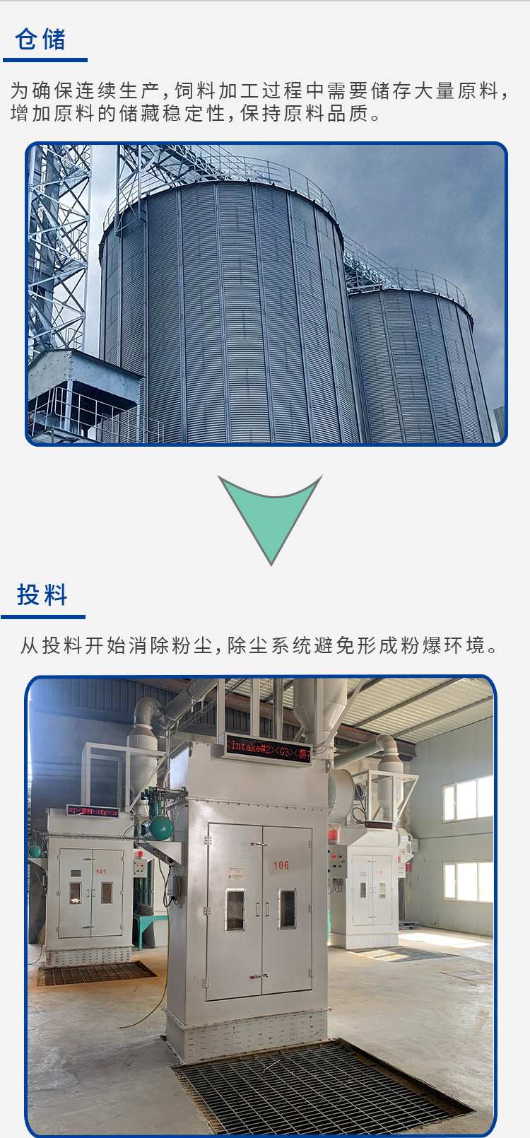 反芻飼料解決方案_02.png