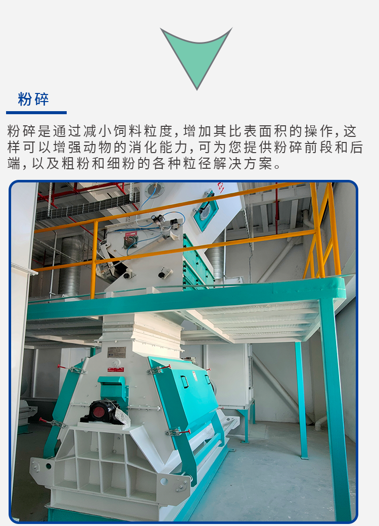 反芻飼料解決方案_04.png