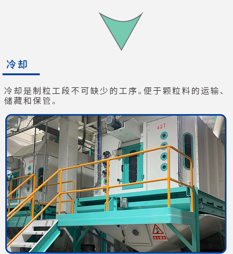 反芻飼料解決方案_09.png