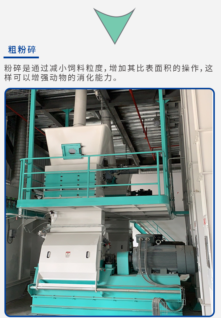寵物飼料解決方案_05.png