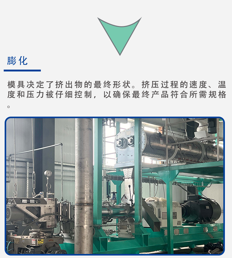 寵物飼料解決方案_09.png