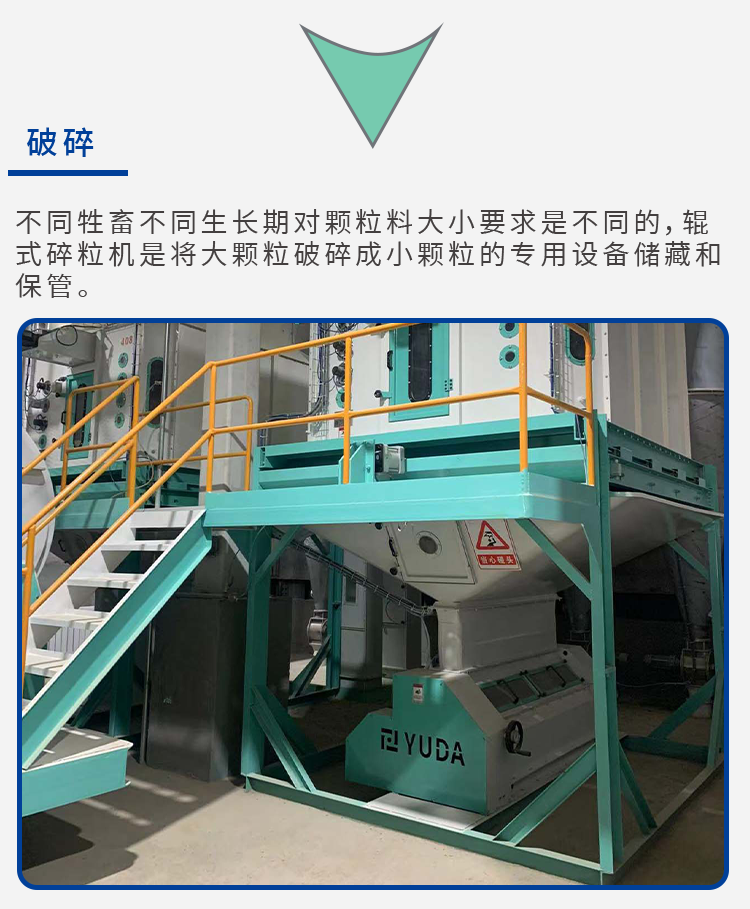 畜禽_11.png